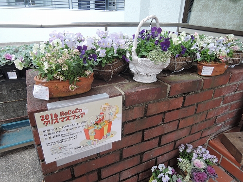 f0223914_1335275.jpg