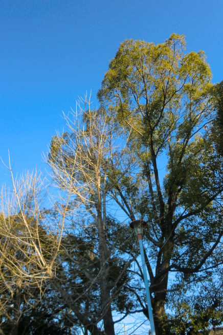 c0236632_09432504.jpg