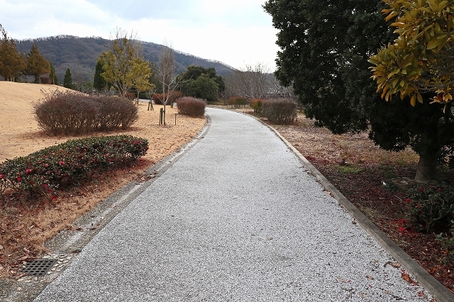 a0242438_20005616.jpg