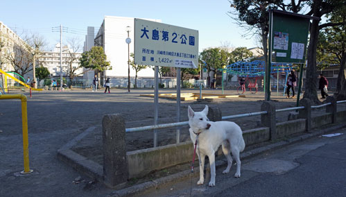 a0117039_152456.jpg