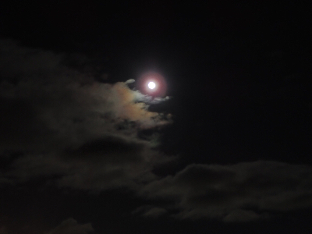 a0343740_23363286.jpg
