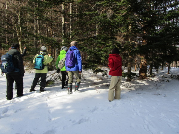 c0233141_17133889.jpg