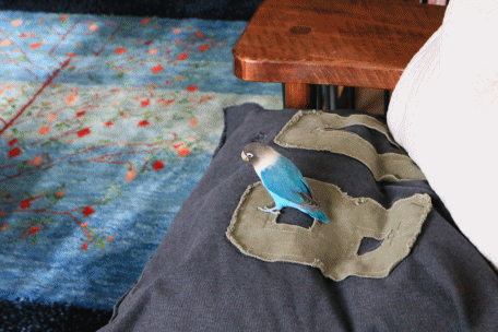 c0145250_14340752.gif