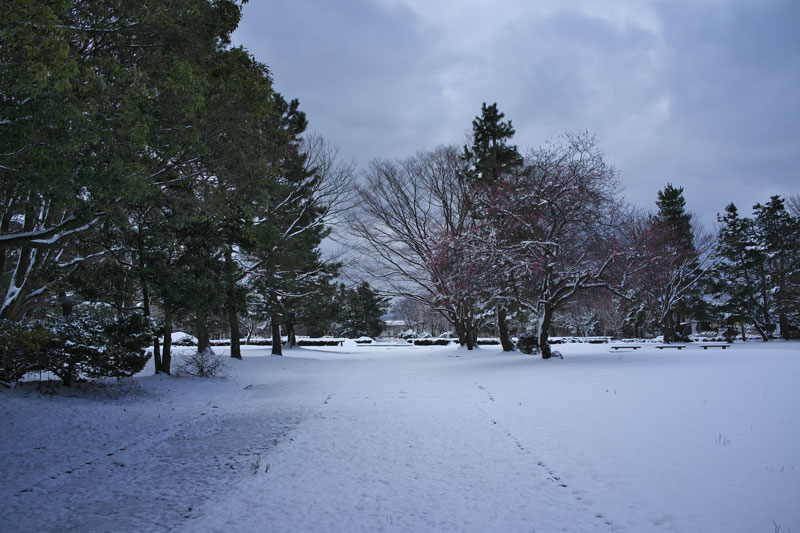 d0342652_19384914.jpg