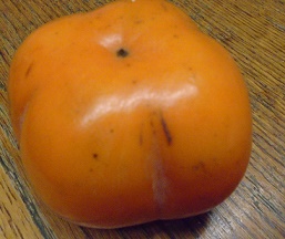 e0010856_1146224.jpg