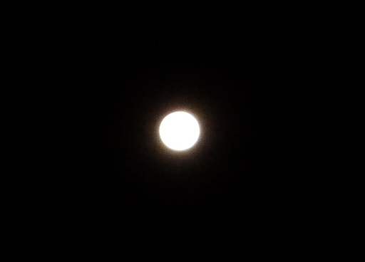 f0055956_11242689.jpg