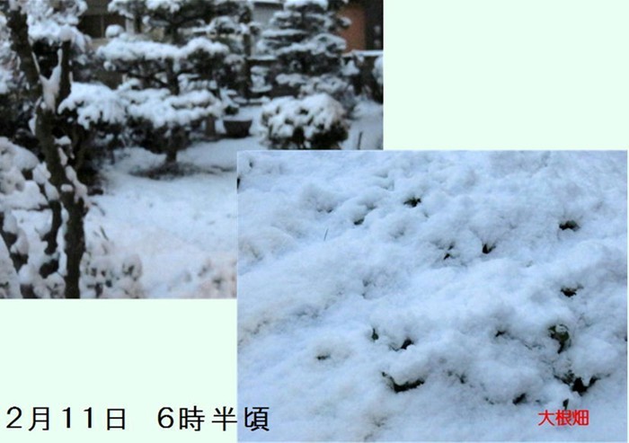 f0003174_15221035.jpg