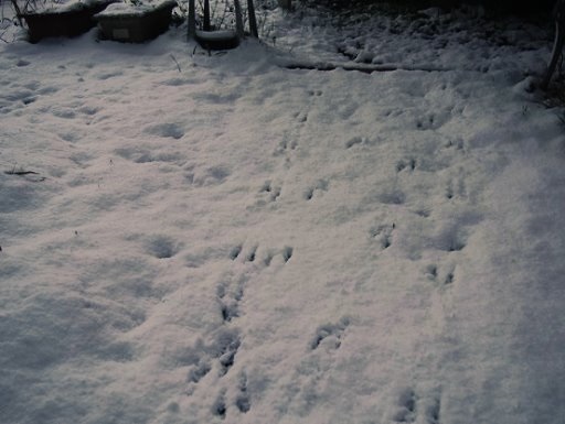 f0101679_0331956.jpg