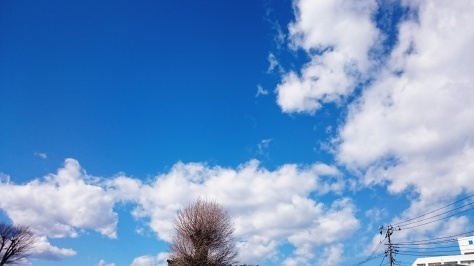 a0105185_22355303.jpg