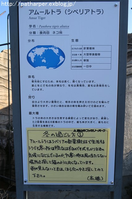 a0052986_2049281.jpg