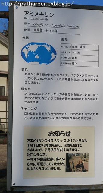 a0052986_20564218.jpg