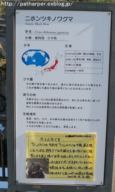 a0052986_22475175.jpg