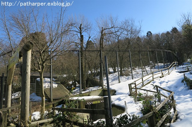 a0052986_2362949.jpg