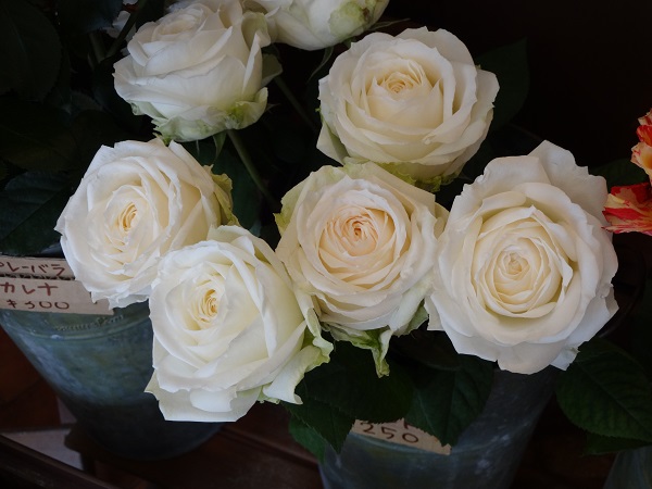 e0140986_1120169.jpg