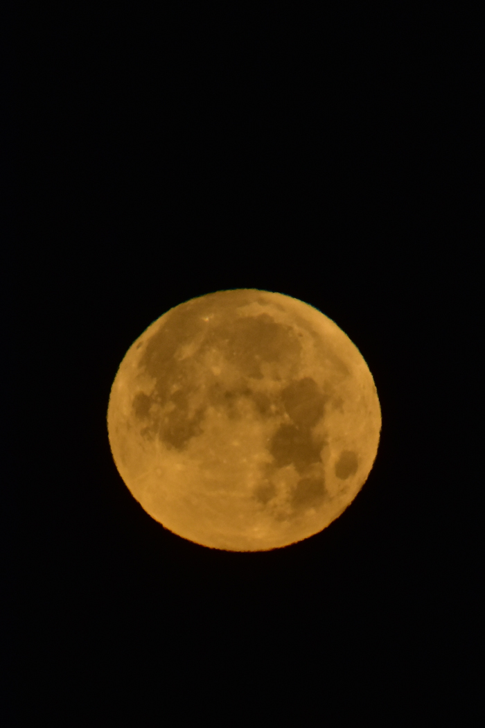 c0049299_23255384.jpg
