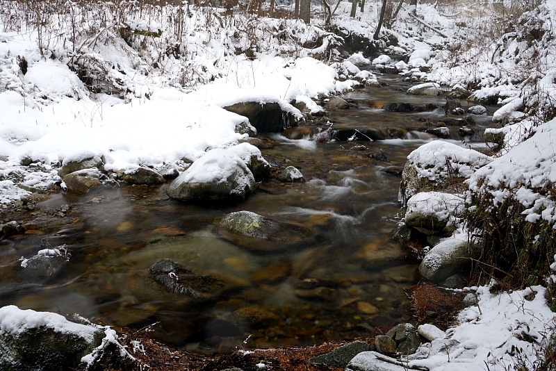 c0339900_14585407.jpg