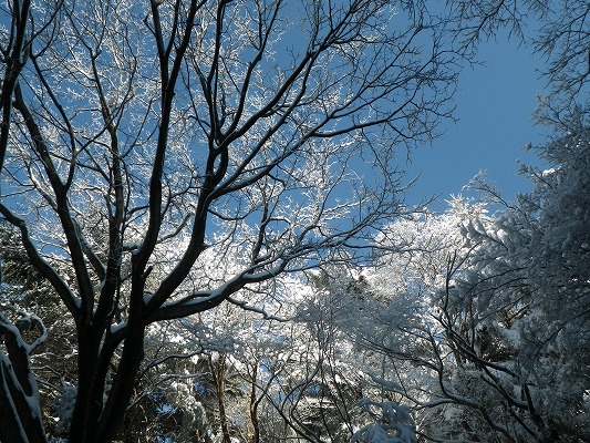 f0187402_17155050.jpg