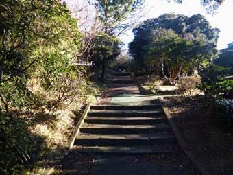 c0195909_11181725.jpg