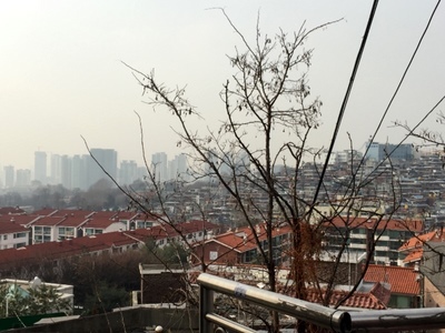 f0199511_16345183.jpg