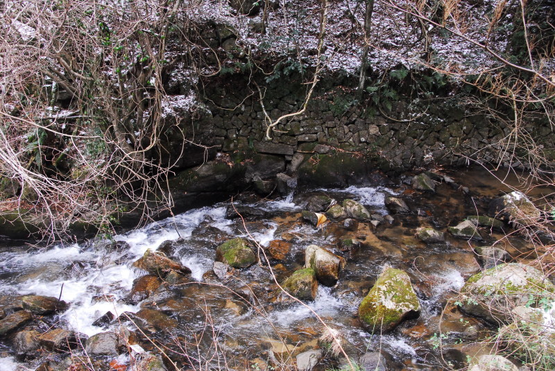 b0223512_23110699.jpg
