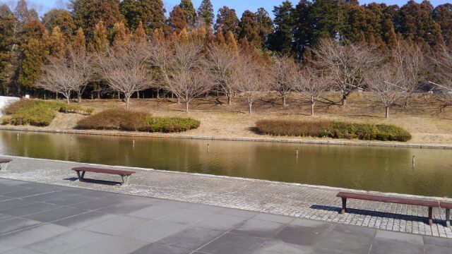 d0250123_18122296.jpg