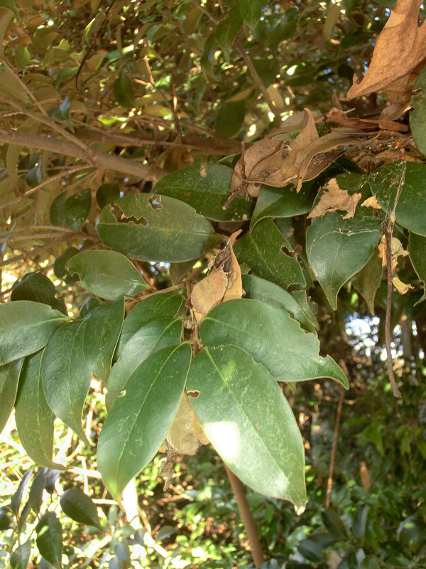 a0126632_1983049.jpg