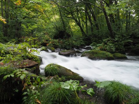b0042334_13481412.jpg