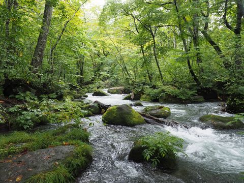 b0042334_1351129.jpg