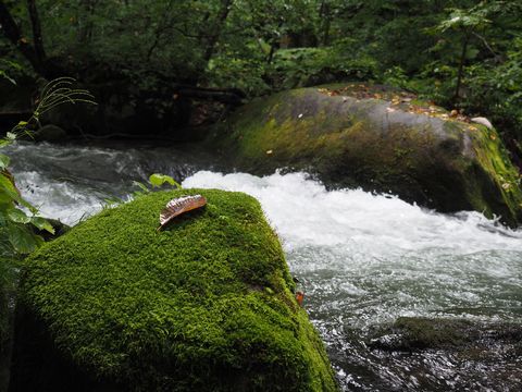 b0042334_13511495.jpg