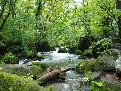 b0042334_13512090.jpg