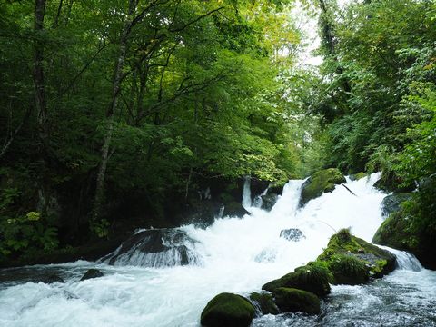 b0042334_13513943.jpg