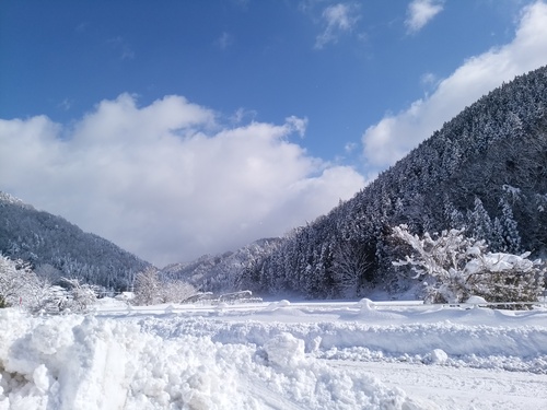 c0300035_9134818.jpg
