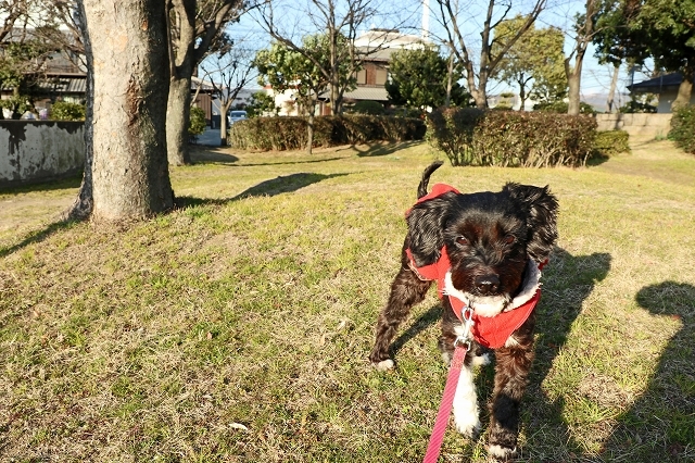 a0242438_18472040.jpg