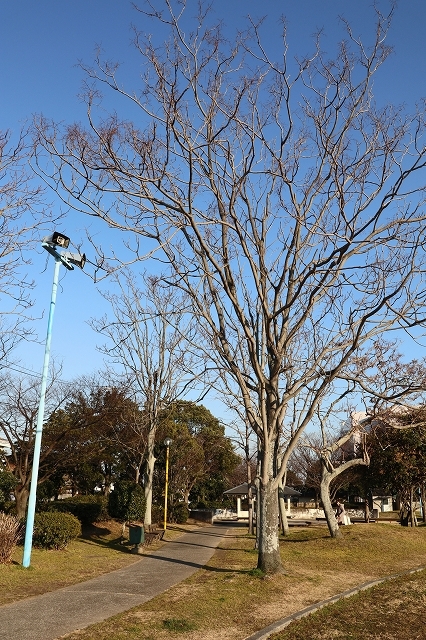 a0242438_18472874.jpg