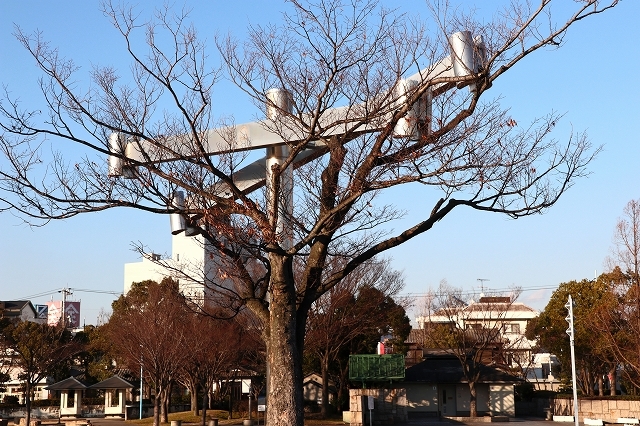 a0242438_18483469.jpg