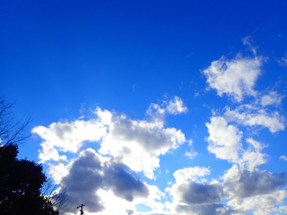 a0343740_23011265.jpg