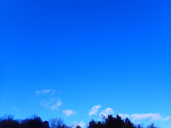 a0343740_23011313.jpg