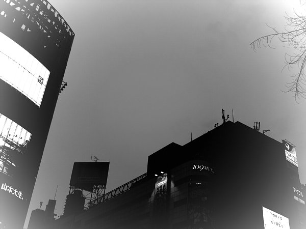 b0341140_188593.jpg