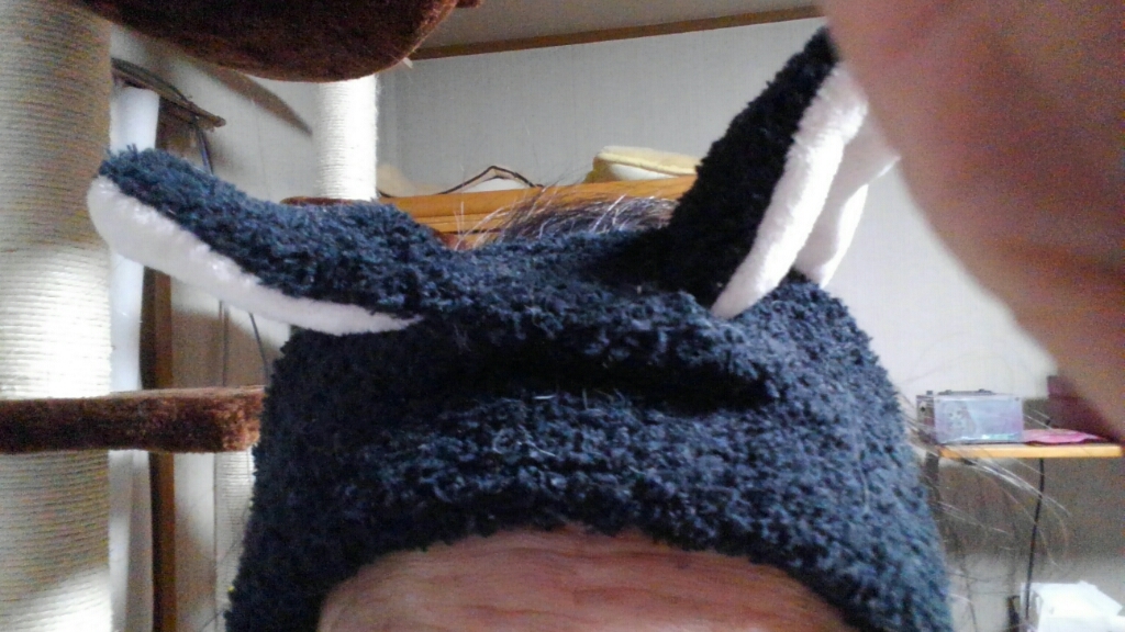 c0194042_21010681.jpg