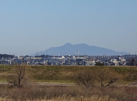 e0172950_795743.jpg