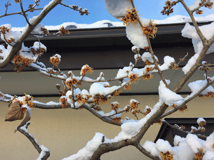 a0001354_22314127.gif