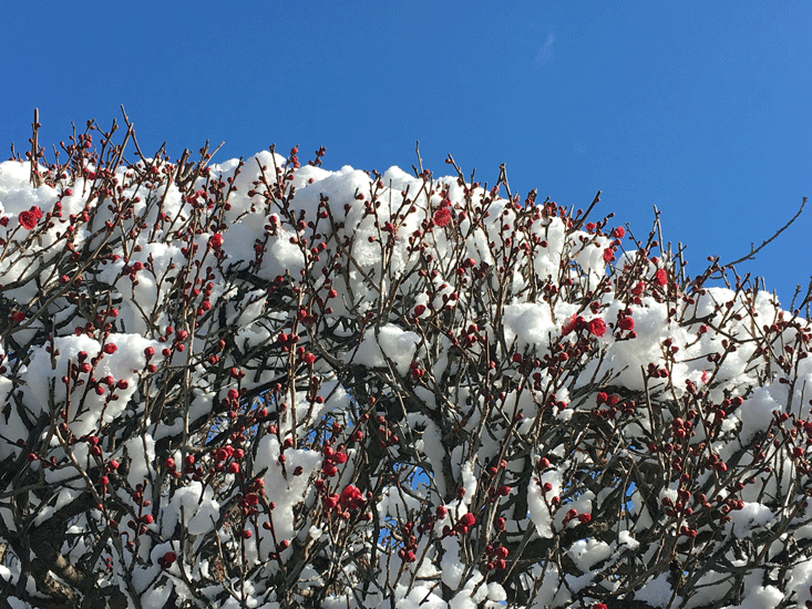 a0001354_22315257.gif
