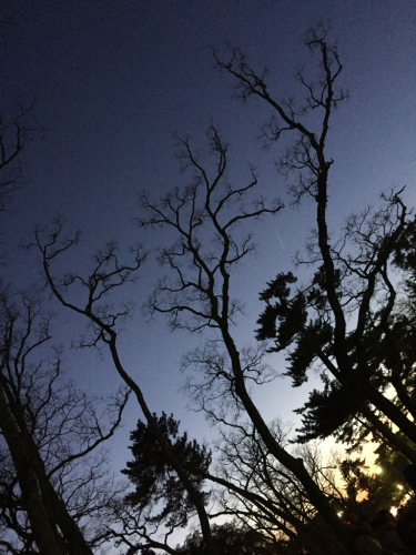 f0348357_18570973.jpg