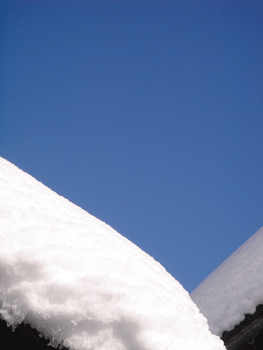 e0001558_15211350.gif