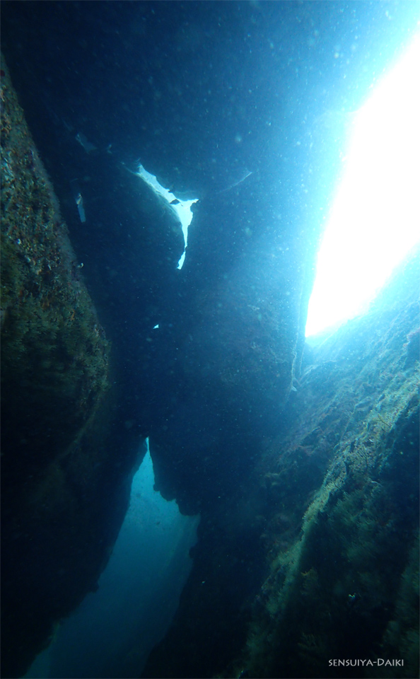 e0158261_171478.jpg