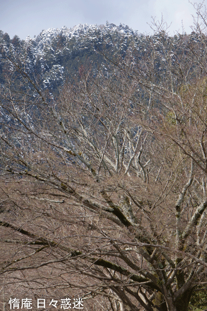 e0346064_18520952.gif