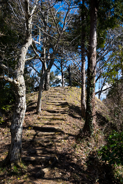 b0247073_212345.jpg