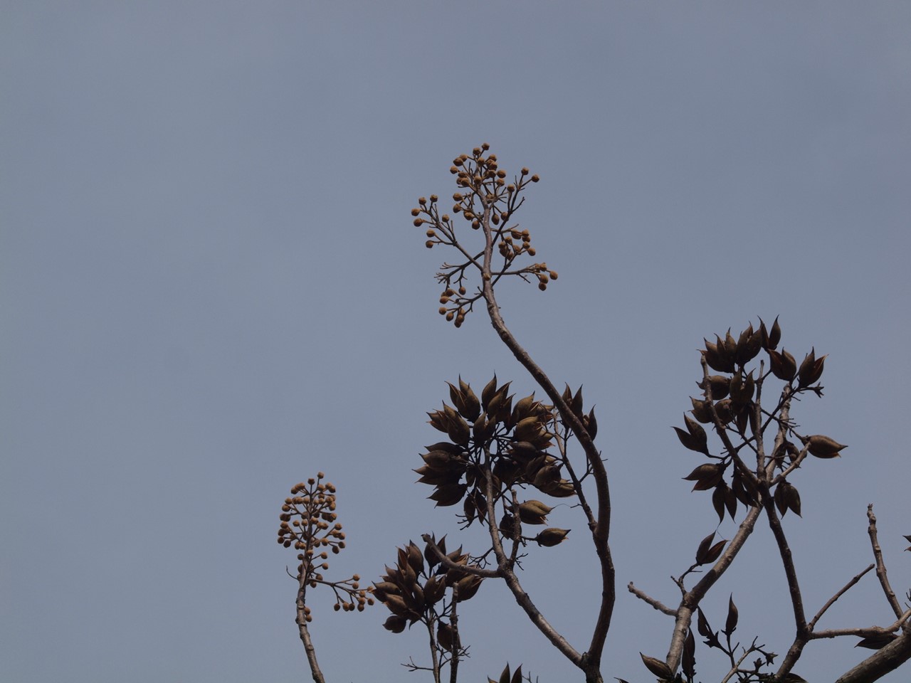 d0054276_2015945.jpg