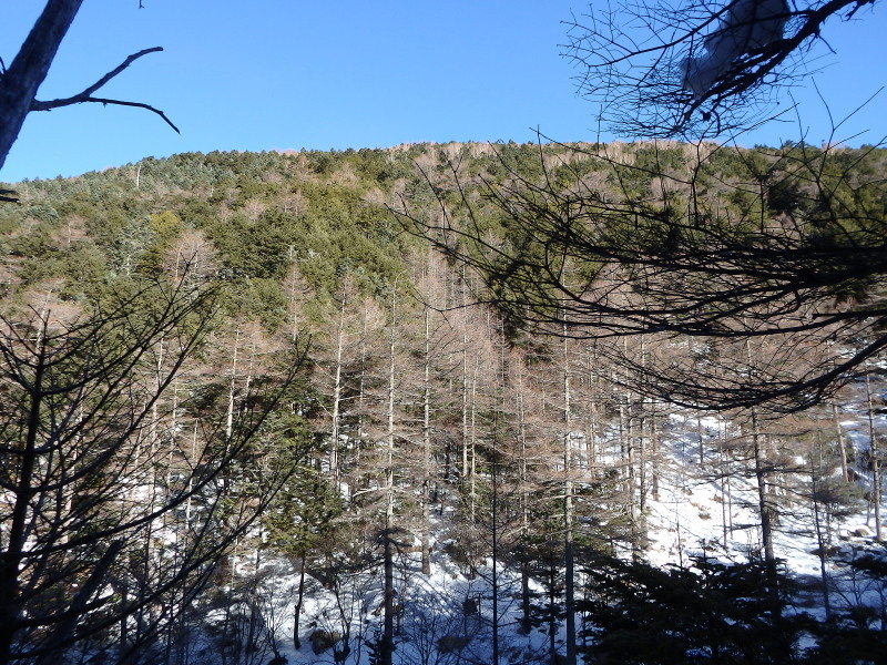 f0372177_21120267.jpg