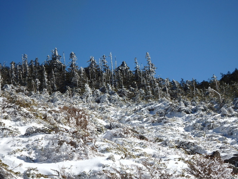 f0372177_21124388.jpg